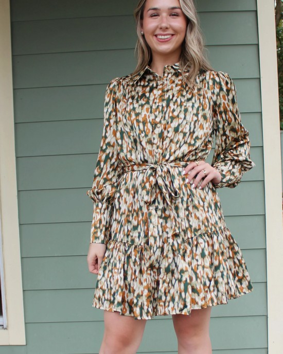 Long Sleeve Green and Brown Print Dress