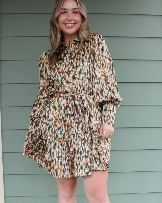 Long Sleeve Green and Brown Print Dress