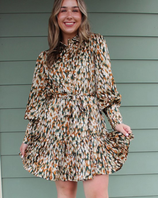 Long Sleeve Green and Brown Print Dress