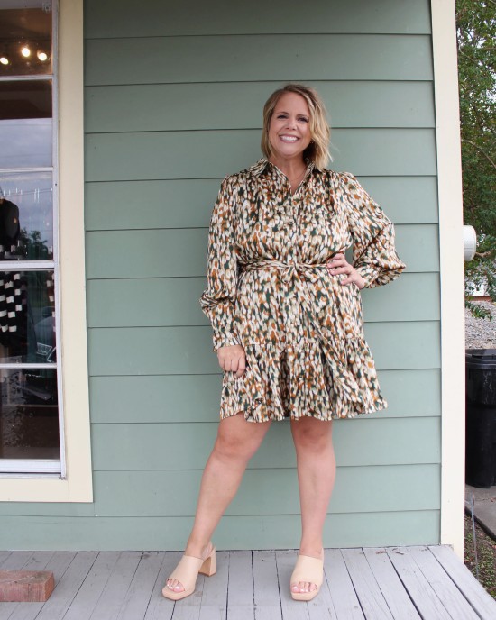 Long Sleeve Green and Brown Print Dress